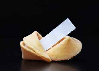 Su Ürünleri Mühendisi Alım İlanları ve Şartları Su Ürünleri Mühendisi Alım İlanları ve Şartları