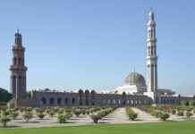 Sultan Papağanı Fiyatları Hangi Tür Ne Kadar? Sultan Papağanı Fiyatları Hangi Tür Ne Kadar?