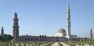 Sultan Papağanı Fiyatları Hangi Tür Ne Kadar? Sultan Papağanı Fiyatları Hangi Tür Ne Kadar?