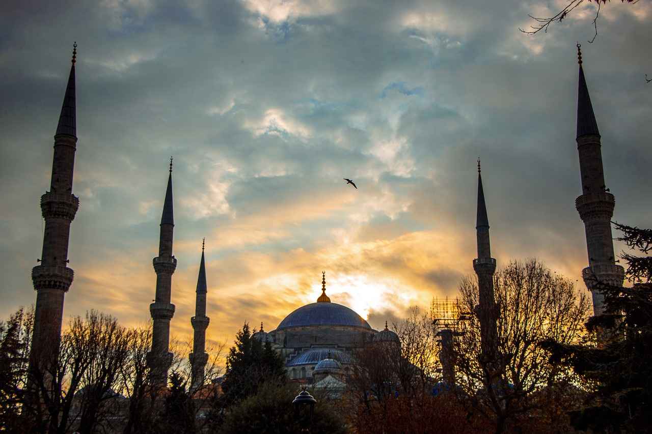 Sultan Papağanı Fiyatları Hangi Tür Ne Kadar? 1 Sultan Papağanı Nedir?