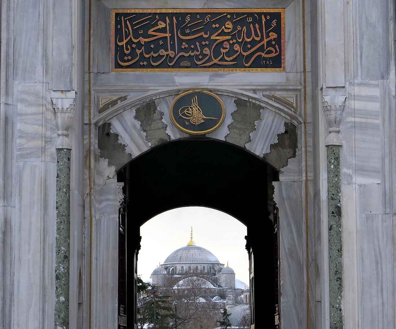 Sultan Papağanı Fiyatları Hangi Tür Ne Kadar? 2 Sultan Papağanı Türleri