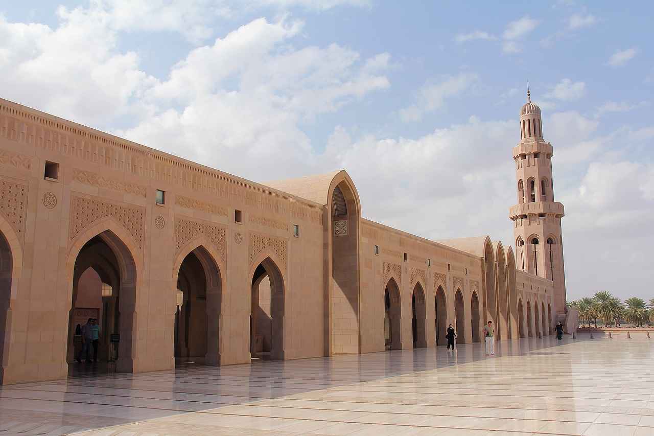 Sultan Papağanı Fiyatları Hangi Tür Ne Kadar? 5 Sultan Papağanı Bakımında Dikkat Edilmesi Gerekenler