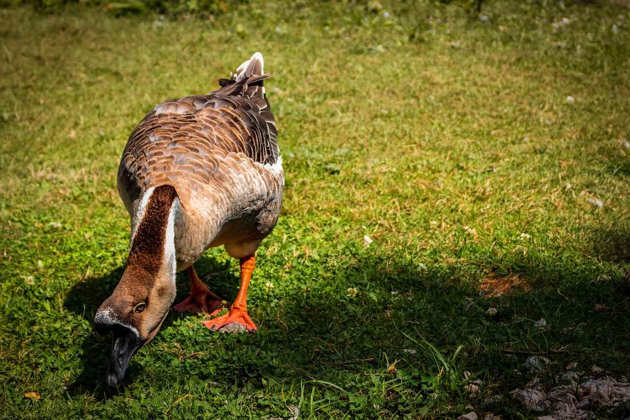 Süreli Memur Alım İlanları ve Şartları 4 Mülakat Süreci ve Değerlendirme Kriterleri