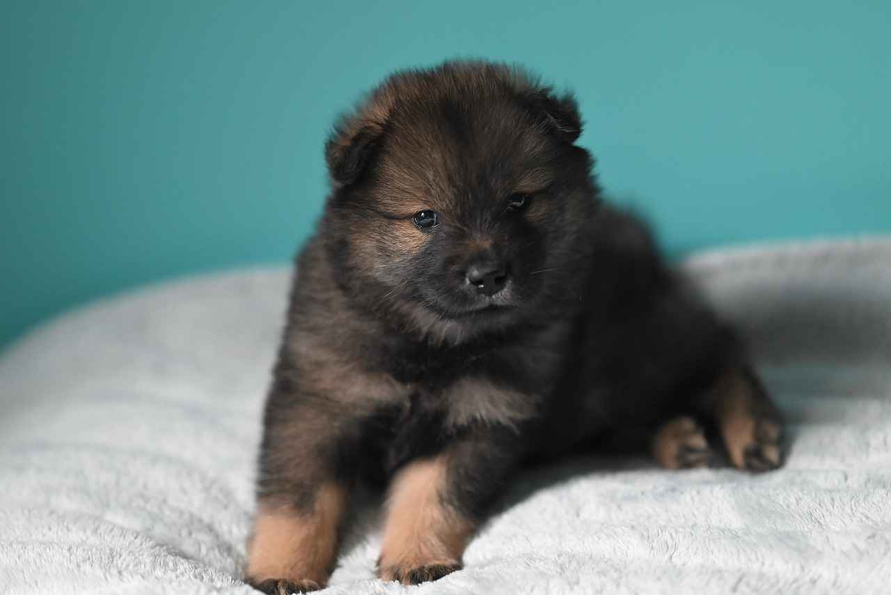 Süreli Memur Alım İlanları ve Şartları 8 Sonuç Olarak Süreli Memur Alımı