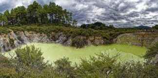 Tapu ve Kadastro Genel Müdürlüğü Memur Alım İlanları ve Memur Alım Şartları Tapu ve Kadastro Genel Müdürlüğü Memur Alım İlanları ve Memur Alım Şartları
