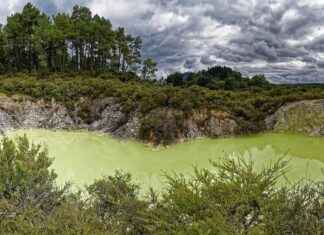 Tapu ve Kadastro Genel Müdürlüğü Memur Alım İlanları ve Memur Alım Şartları Tapu ve Kadastro Genel Müdürlüğü Memur Alım İlanları ve Memur Alım Şartları