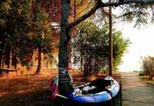 Tarım ve Orman Bakanlığı Memur Alım İlanları ve Memur Alım Şartları Tarım ve Orman Bakanlığı Memur Alım İlanları ve Memur Alım Şartları