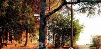 Tarım ve Orman Bakanlığı Memur Alım İlanları ve Memur Alım Şartları Tarım ve Orman Bakanlığı Memur Alım İlanları ve Memur Alım Şartları