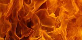 Tekila Fiyatları En Çok Tercih Edilen Markalarla Karşılaştırma Tekila Fiyatları En Çok Tercih Edilen Markalarla Karşılaştırma