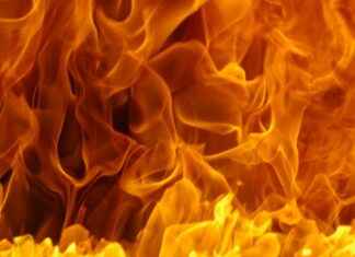 Tekila Fiyatları En Çok Tercih Edilen Markalarla Karşılaştırma Tekila Fiyatları En Çok Tercih Edilen Markalarla Karşılaştırma