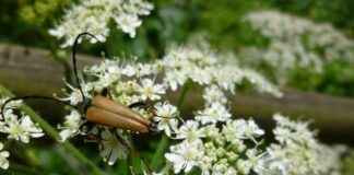Tıp Fakültesi Öğretim Üyesi Alım İlanları ve Şartları Tıp Fakültesi Öğretim Üyesi Alım İlanları ve Şartları