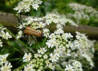 Tıp Fakültesi Öğretim Üyesi Alım İlanları ve Şartları Tıp Fakültesi Öğretim Üyesi Alım İlanları ve Şartları