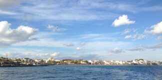 Turizm Rehberi Alım İlanları ve Şartları Turizm Rehberi Alım İlanları ve Şartları