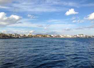 Turizm Rehberi Alım İlanları ve Şartları Turizm Rehberi Alım İlanları ve Şartları