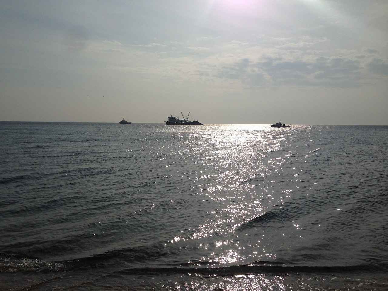 Turizm Yöneticisi Alım İlanlarında Aranan Nitelikler