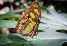 Türkiye İstatistik Kurumu Memur Alım İlanları ve Memur Alım Şartları Türkiye İstatistik Kurumu Memur Alım İlanları ve Memur Alım Şartları