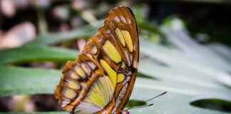 Türkiye İstatistik Kurumu Memur Alım İlanları ve Memur Alım Şartları Türkiye İstatistik Kurumu Memur Alım İlanları ve Memur Alım Şartları