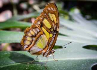 Türkiye İstatistik Kurumu Memur Alım İlanları ve Memur Alım Şartları Türkiye İstatistik Kurumu Memur Alım İlanları ve Memur Alım Şartları