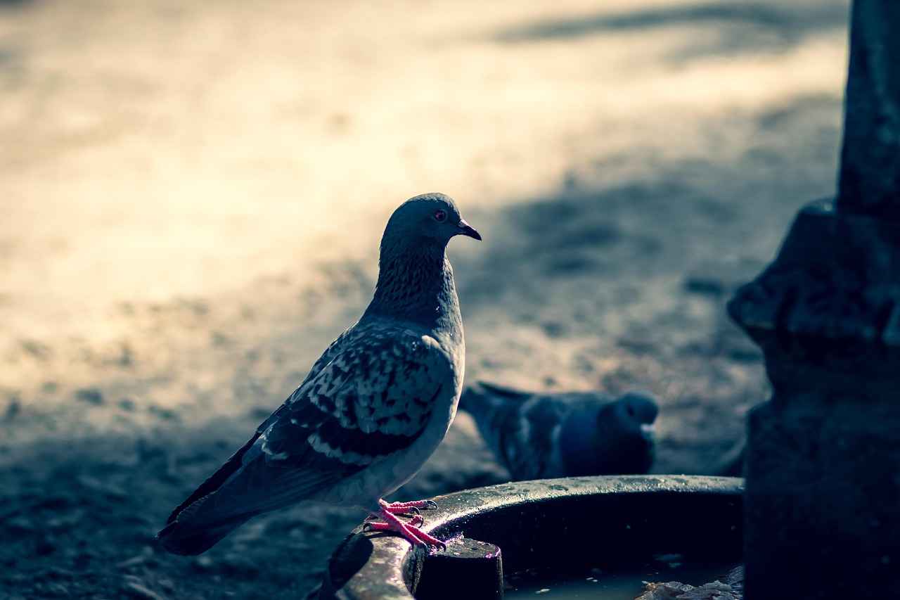 TÜRKŞEKER Memur Alım İlanları ve Memur Alım Şartları 14 Sonuç ve Öneriler
