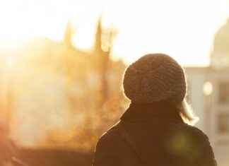 Vergi Müfettişi Yardımcısı Alım İlanları ve Şartları Vergi Müfettişi Yardımcısı Alım İlanları ve Şartları