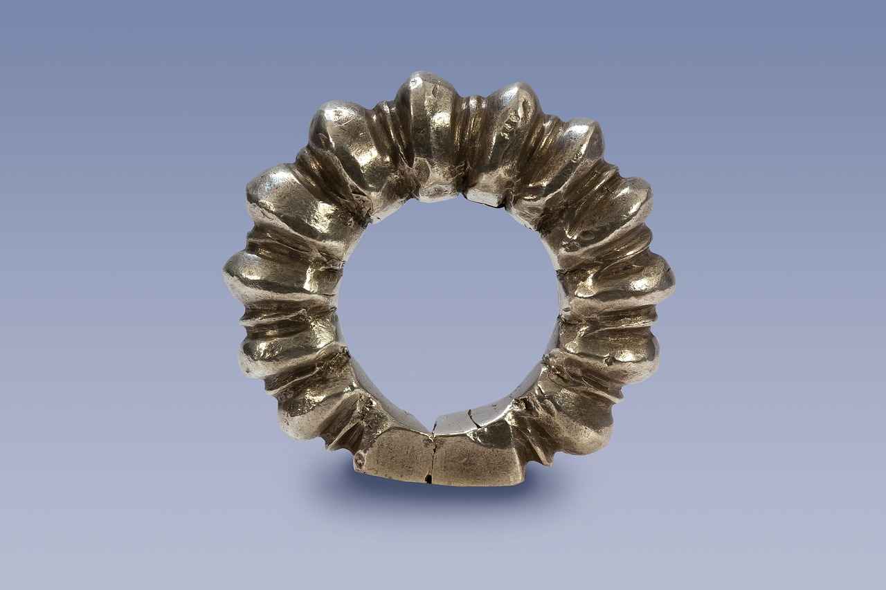 Vergi Müfettişi Yardımcısı İçin Gerekli Yetkinlikler