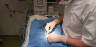 Veteriner Hekim Alım İlanları ve Şartları Veteriner Hekim Alım İlanları ve Şartları