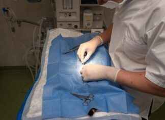 Veteriner Hekim Alım İlanları ve Şartları Veteriner Hekim Alım İlanları ve Şartları