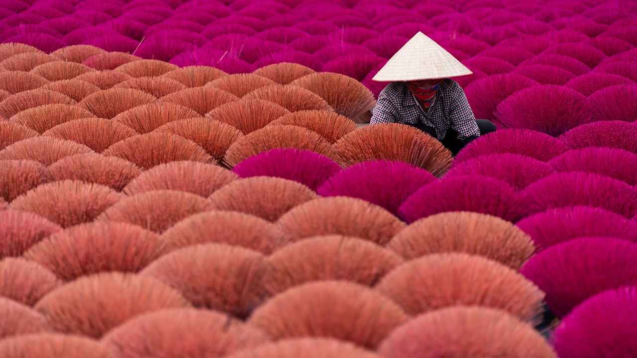 Veteriner Hekim Alım İlanlarının Yaygın Yayın Platformları