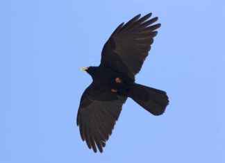 VHKİ Memur Alım İlanları ve Şartları VHKİ Memur Alım İlanları ve Şartları