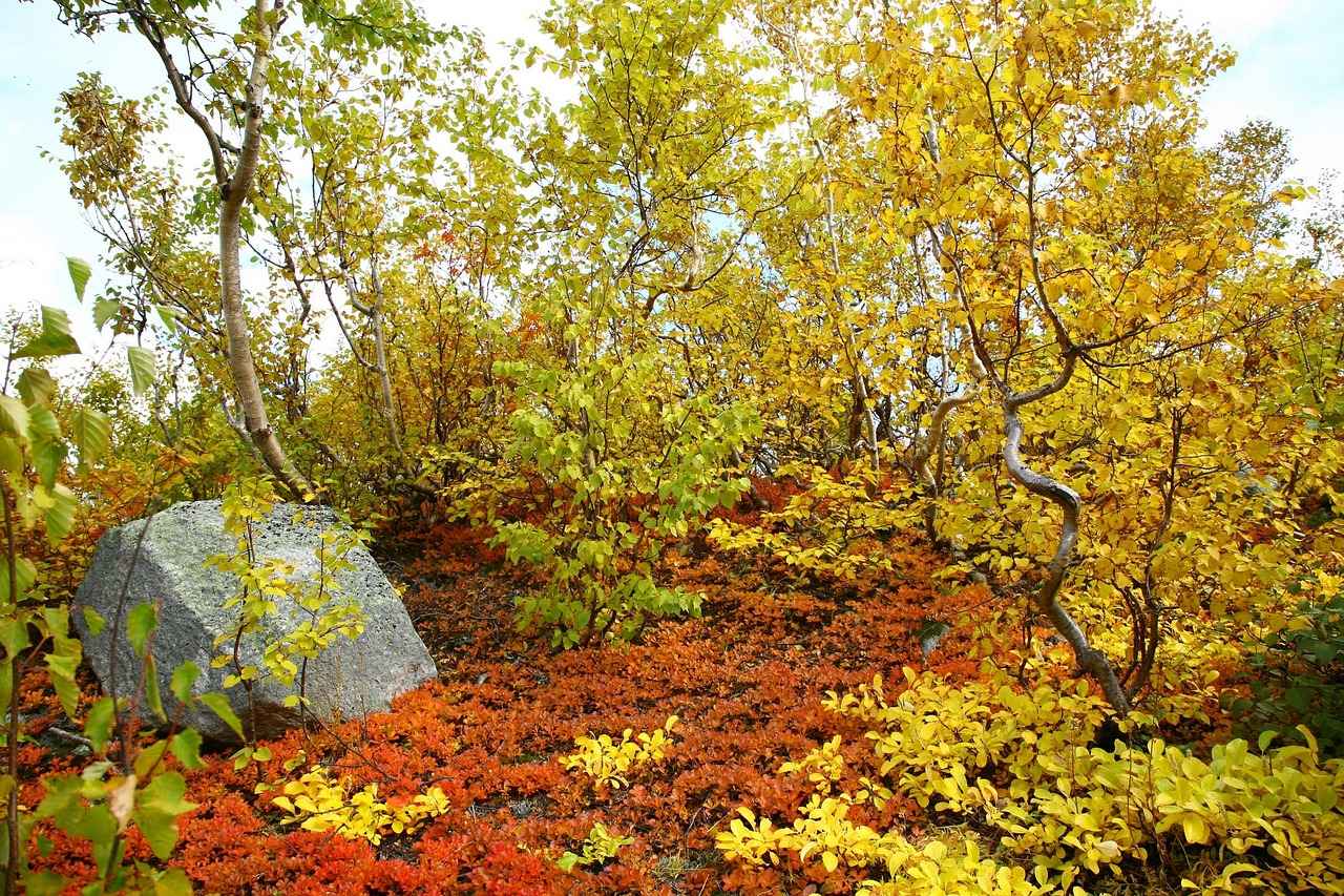 VHKİ Memurları Hangi Alanlarda Çalışır?