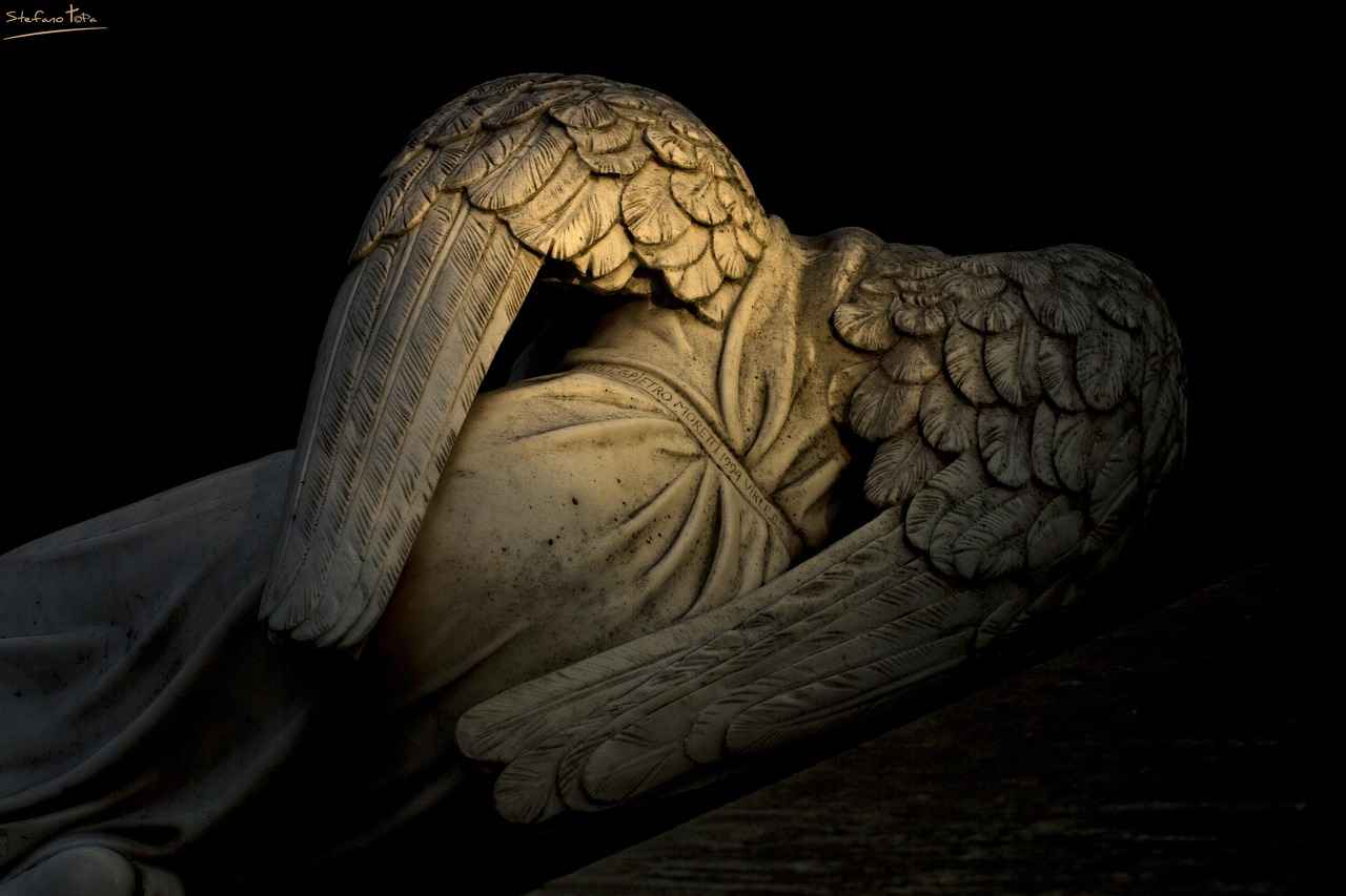 VHKİ Olmak İçin Hangi Eğitim Gereklidir?