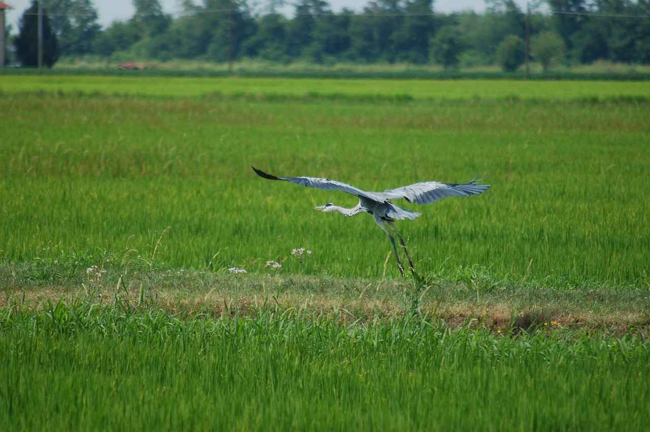 VHKİ Memuru Olmanın Avantajları Nelerdir?