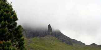 Viagra Fiyat Nedir ve Nerelerde Daha Uygun? Viagra Fiyat Nedir ve Nerelerde Daha Uygun?