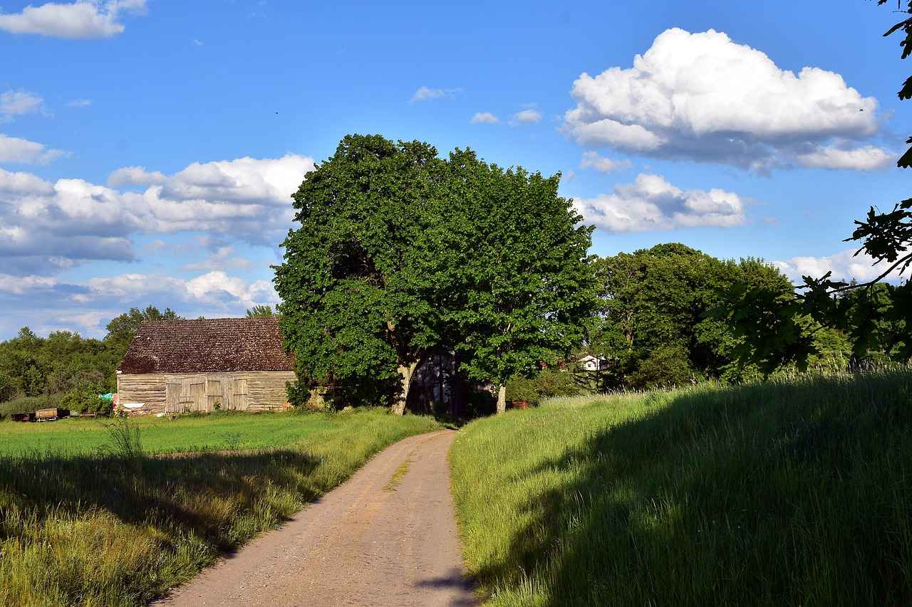 Gelecekte Web Geliştirici İlanları Nasıl Değişecek?