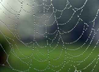 Web Tasarım Uzmanı Alım İlanları ve Şartları Web Tasarım Uzmanı Alım İlanları ve Şartları