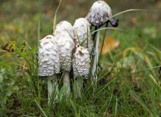 Yüzme Eğitmeni Alım İlanları ve Şartları Yüzme Eğitmeni Alım İlanları ve Şartları