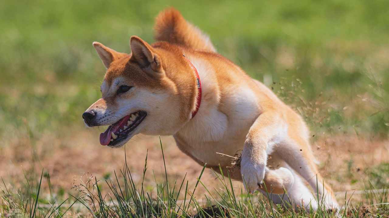 Yüzme Eğitmeni Olmak İçin Gereken Nitelikler