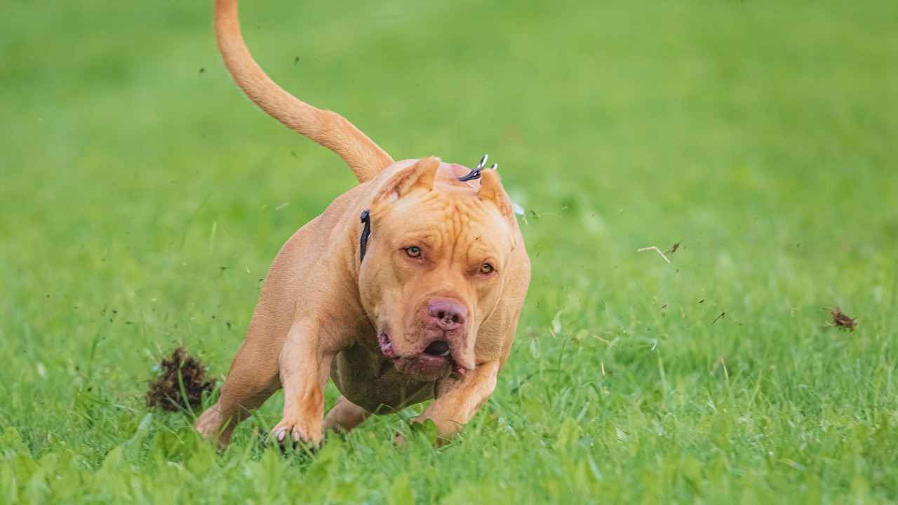 Yüzme Eğitmeni Olmanın Avantajları