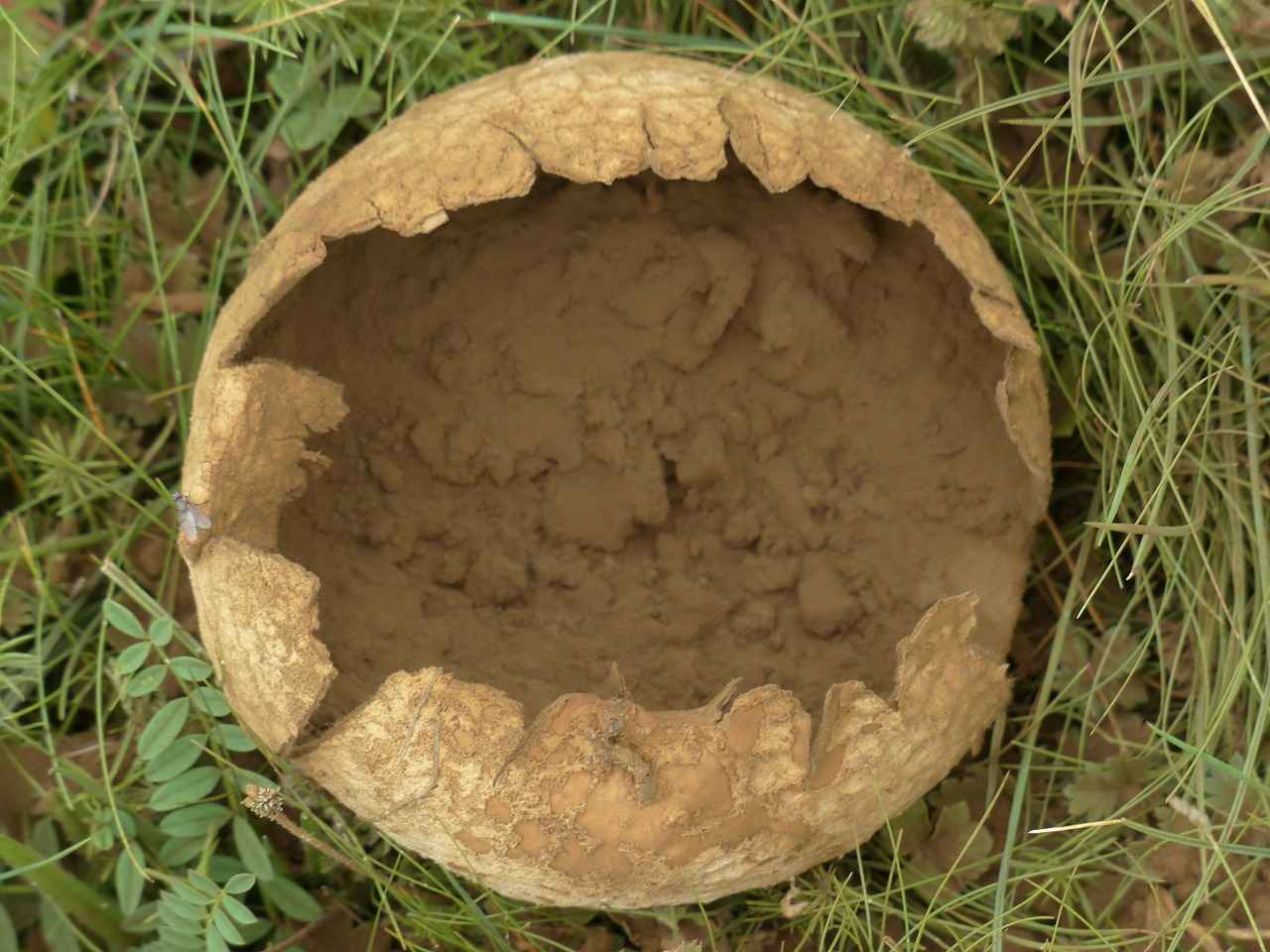 Yüzme Eğitmeni Olarak Çalışma Alanları