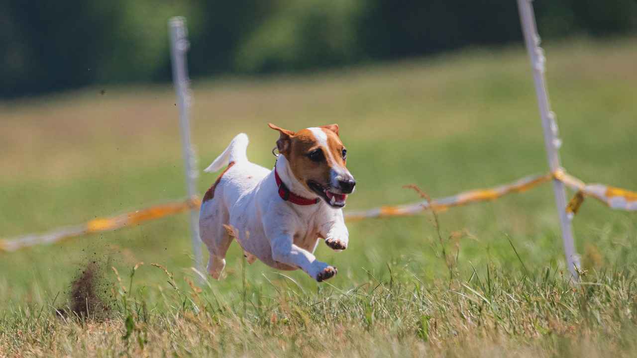Yüzme Eğitmeni Alım Süreci