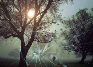 Zabıta Memuru Alım İlanları ve Şartları Zabıta Memuru Alım İlanları ve Şartları