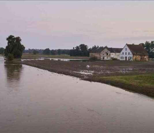 AB Tarımında Yıllık 28,3 Milyar Avro Zarar: İklim Değişikliği Etkileri ab-tarmnda-yllk-283-milyar-avro-zarar-iklim-deiiklii-etkileri