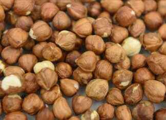 Ticaret Borsalarında 550 Bin Ton Fındık İşlemi: 8 Ay Analizi ticaret-borsalarnda-550-bin-ton-fndk-ilemi-8-ay-analizi