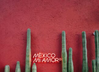 Bağkur Giriş-Çıkışları Emekliliği Etkiler Mi? Şaşırtan Gerçekler