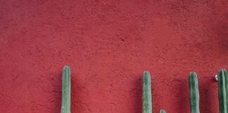 Bağkur’dan SSK’ya Geçiş Yapmak Mantıklı Mı? Merak Edilenler!