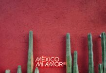 Bağkur Sigortası Devredilebilir Mi? Şaşırtıcı Gerçekler Açıklanıyor