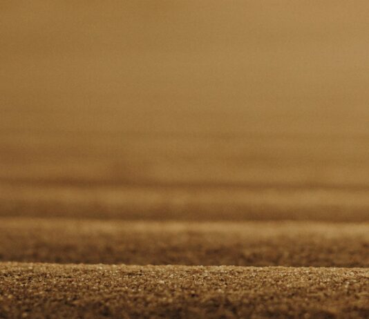 1 Günlük Bağkur Girişi Ne İşe Yarar? Faydaları ve İpuçları