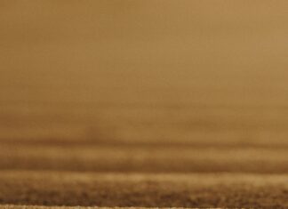 Bağkur’da Yıl Sigortalılık Ne Anlama Gelir? Merak Edilenler!