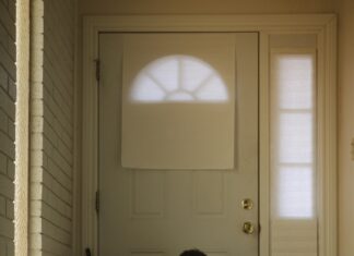 Bağkur Prim Gün Sorgulama Yöntemleri: En Kolay ve Hızlı Rehber