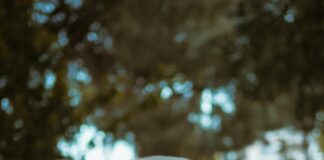 Bağkur Emeklilik Başvurusu Nasıl Yapılır? Adım Adım Rehber